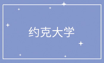約克大學OFFER